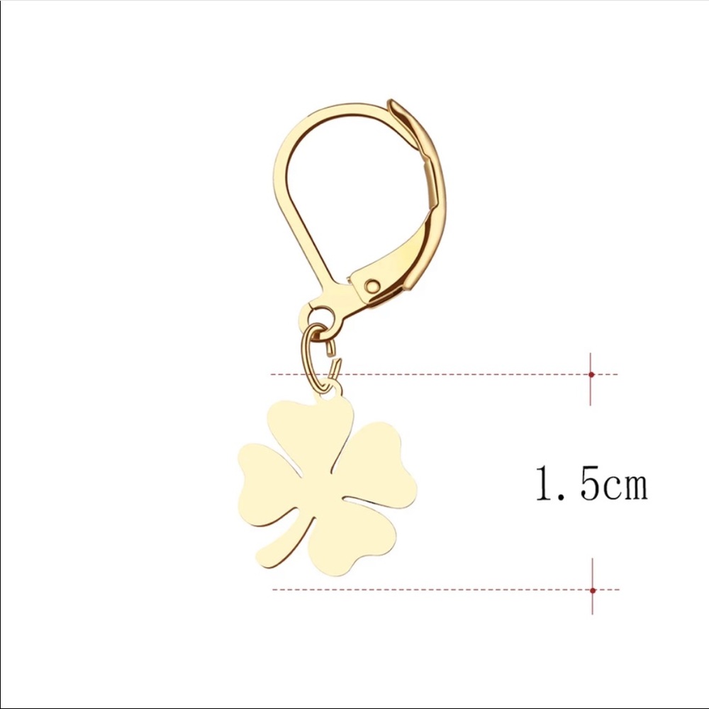 GOOD LUCK ♡ SILVER Stainless Steel Earrings - Picture 2 of 6